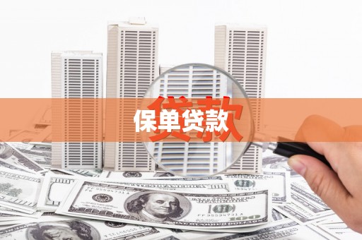 新泰保单贷款