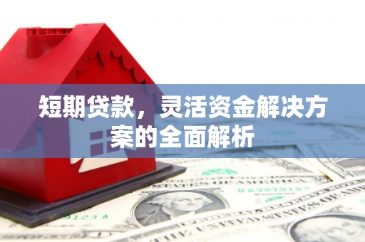 新泰短期贷款，灵活资金解决方案的全面解析