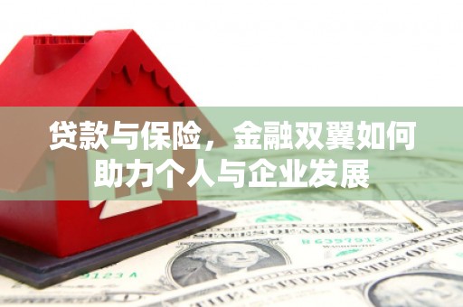 新泰贷款与保险，金融双翼如何助力个人与企业发展