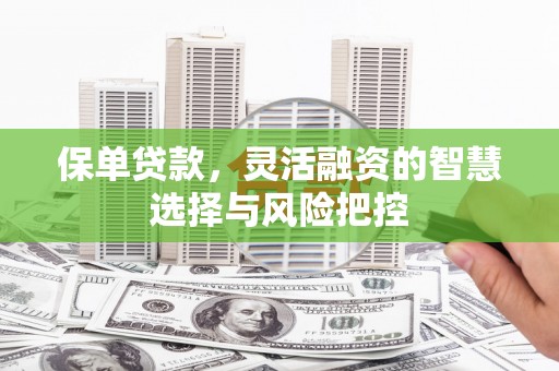 新泰保单贷款，灵活融资的智慧选择与风险把控
