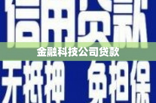 新泰金融科技公司贷款