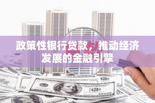 新泰政策性银行贷款，推动经济发展的金融引擎