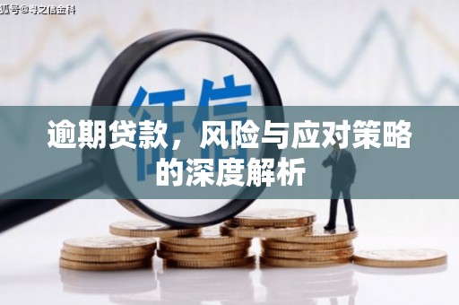 新泰逾期贷款，风险与应对策略的深度解析