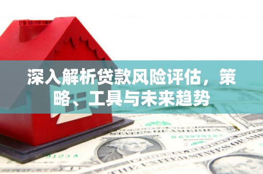 新泰深入解析贷款风险评估，策略、工具与未来趋势