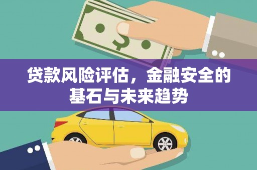新泰贷款风险评估，金融安全的基石与未来趋势