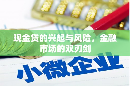 新泰现金贷的兴起与风险，金融市场的双刃剑