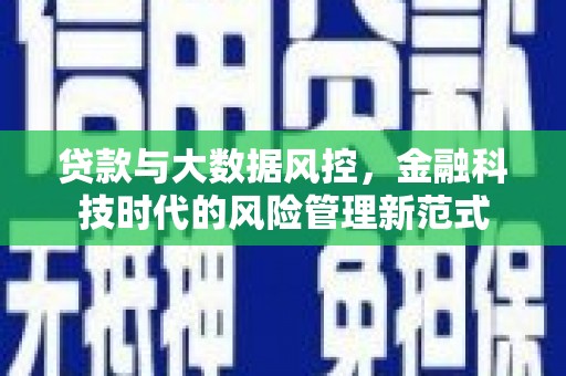 新泰贷款与大数据风控，金融科技时代的风险管理新范式