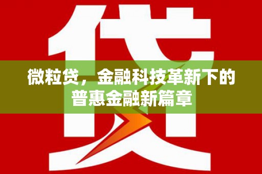 新泰微粒贷，金融科技革新下的普惠金融新篇章