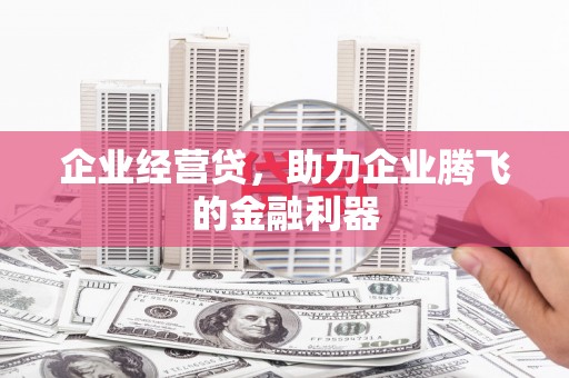 新泰企业经营贷，助力企业腾飞的金融利器