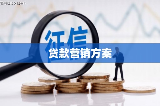 新泰贷款营销方案