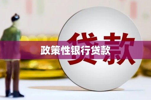 新泰政策性银行贷款