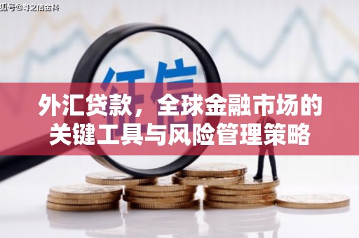 新泰外汇贷款，全球金融市场的关键工具与风险管理策略