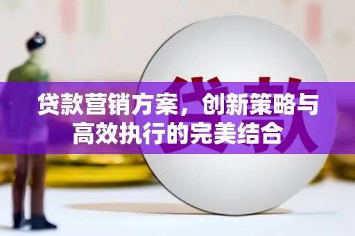 新泰贷款营销方案，创新策略与高效执行的完美结合
