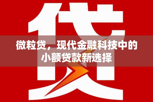 新泰微粒贷，现代金融科技中的小额贷款新选择
