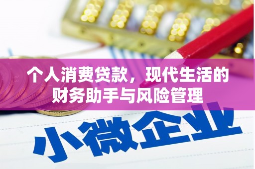 新泰个人消费贷款，现代生活的财务助手与风险管理