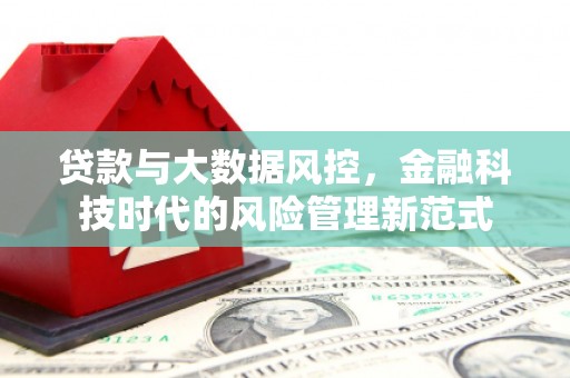 新泰贷款与大数据风控，金融科技时代的风险管理新范式