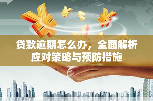 新泰贷款逾期怎么办，全面解析应对策略与预防措施