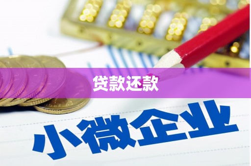 新泰贷款还款