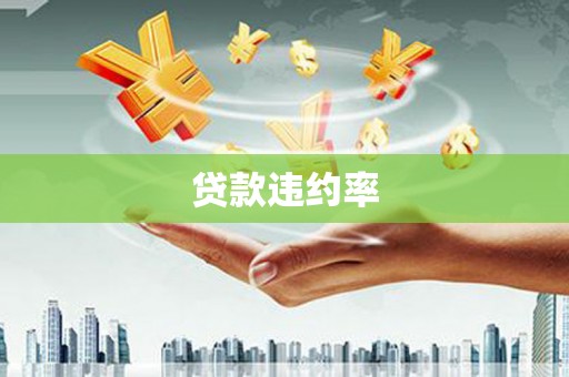 新泰贷款违约率