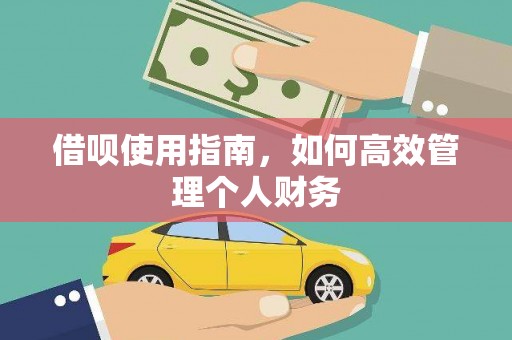 新泰借呗使用指南，如何高效管理个人财务