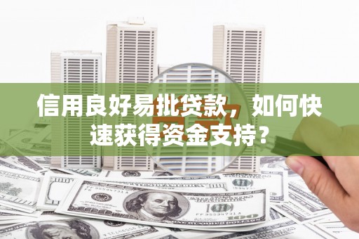 新泰信用良好易批贷款，如何快速获得资金支持？
