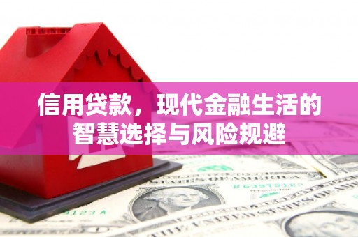 新泰信用贷款，现代金融生活的智慧选择与风险规避