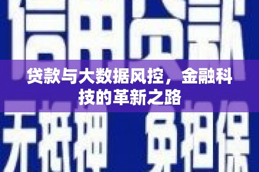 新泰贷款与大数据风控，金融科技的革新之路