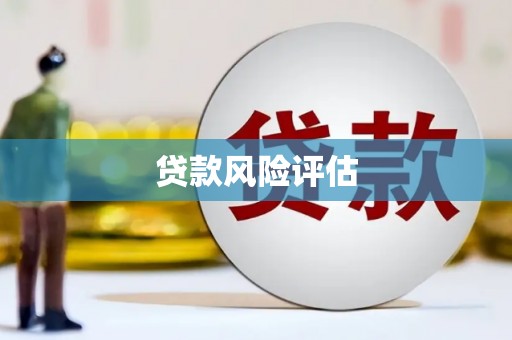 新泰贷款风险评估