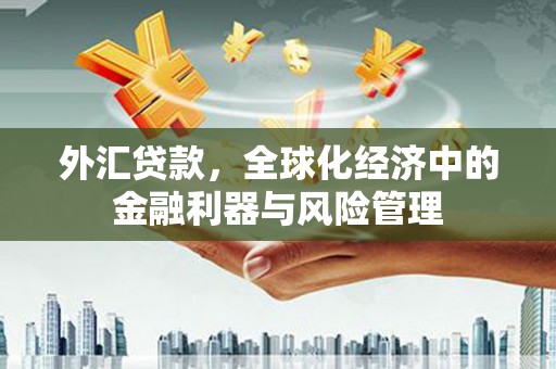 新泰外汇贷款，全球化经济中的金融利器与风险管理