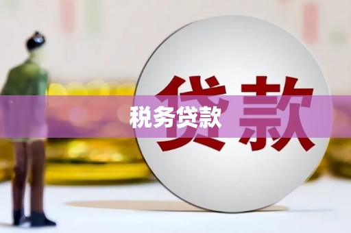 新泰税务贷款