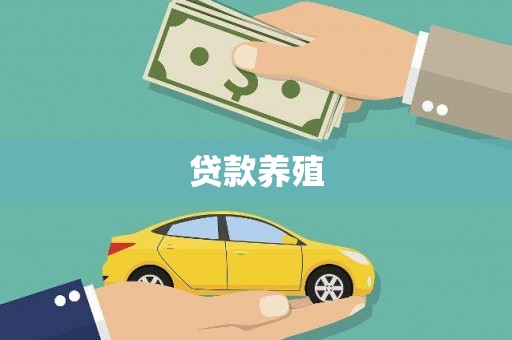 新泰贷款养殖