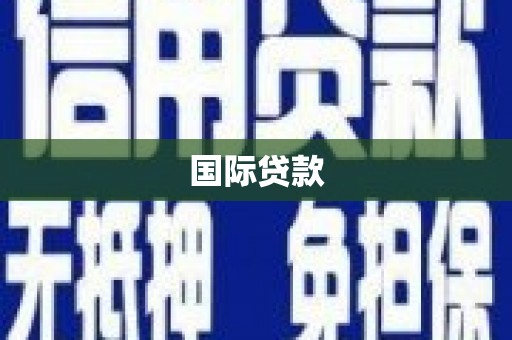 新泰国际贷款