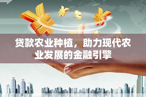 新泰贷款农业种植，助力现代农业发展的金融引擎