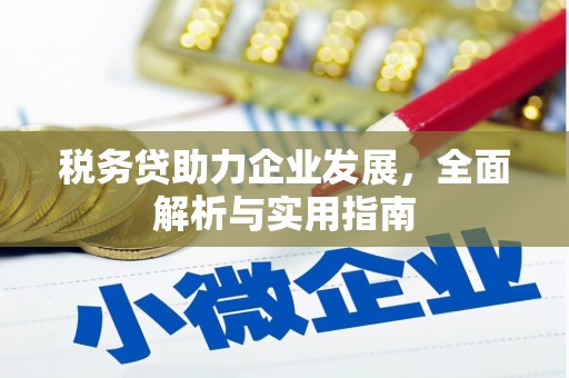 新泰税务贷助力企业发展，全面解析与实用指南