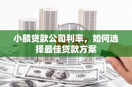 新泰小额贷款公司利率，如何选择最佳贷款方案