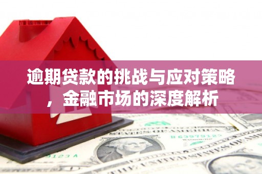 新泰逾期贷款的挑战与应对策略，金融市场的深度解析