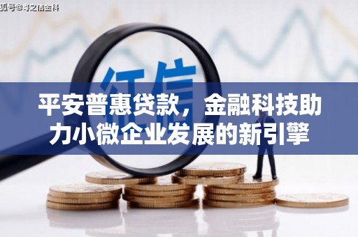 新泰平安普惠贷款，金融科技助力小微企业发展的新引擎