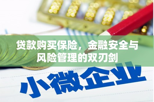 新泰贷款购买保险，金融安全与风险管理的双刃剑