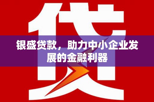 新泰银盛贷款，助力中小企业发展的金融利器