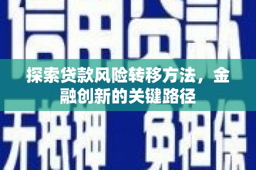 新泰探索贷款风险转移方法，金融创新的关键路径