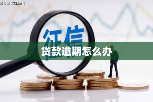 新泰贷款逾期怎么办