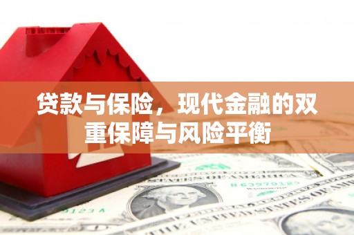 新泰贷款与保险，现代金融的双重保障与风险平衡