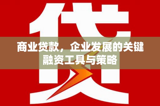 新泰商业贷款，企业发展的关键融资工具与策略