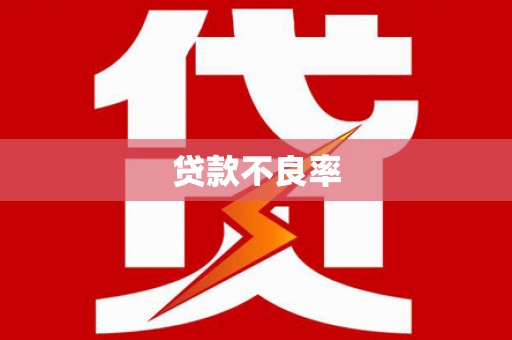 新泰贷款不良率