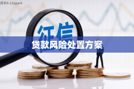 新泰贷款风险处置方案