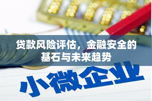 新泰贷款风险评估，金融安全的基石与未来趋势
