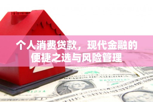 新泰个人消费贷款，现代金融的便捷之选与风险管理