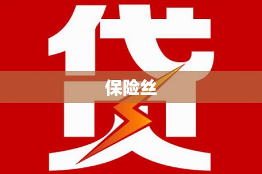 新泰保险丝