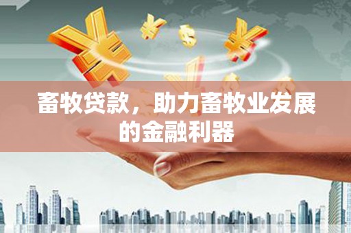 新泰畜牧贷款，助力畜牧业发展的金融利器