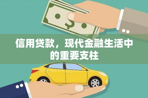 新泰信用贷款，现代金融生活中的重要支柱
